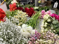 Urban Bloom Co. website photo
