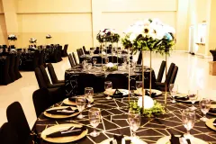 Party Tables and Chairs
