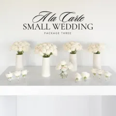 Wedding Package Three