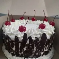 323 Bakery photo