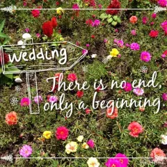 Willow Creek Ranch Wedding & Event Venue website photo
