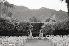 A SEA OF LOVE photo