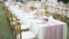La Vie Event Rentals - Party, Event, and Wedding Rentals website photo